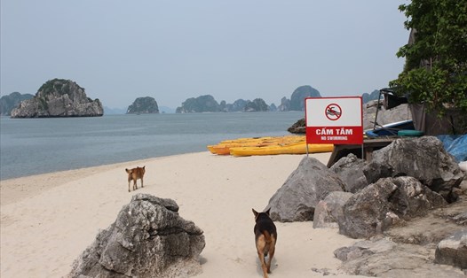 Bãi tắm tuyệt đẹp trên vịnh Bái Tử Long nhưng treo biển cấm tắm. Ảnh: Nguyễn Hùng