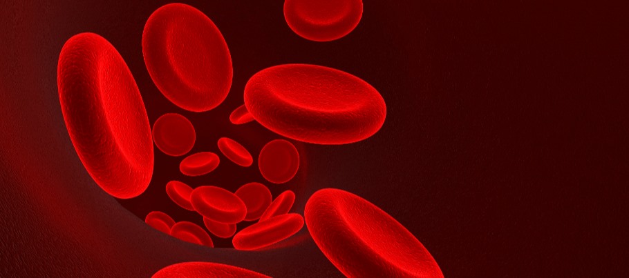 Nguồn: Cancerhorizons