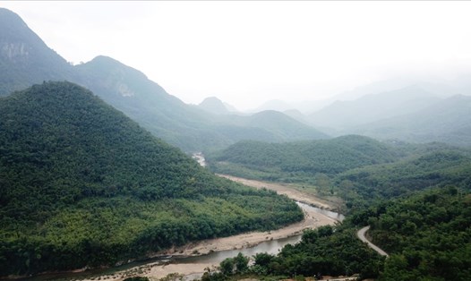 Những cánh rừng vầu xanh mướt bên dòng sông Lò tại xã Quan Sơn, Thanh Hóa. Ảnh: NT