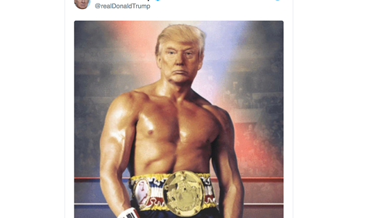 Tổng thống Donald Trump đăng bức ảnh photoshop trên Twitter không kèm chú thích hôm 27.11.