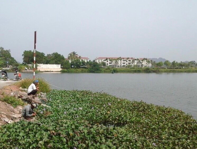 Sông Giá - một trong những nguồn cung cấp nước sinh hoạt cho TP Hải Phòng đang trong tình trạng bị ô nhiễm. Ảnh Mai Dung