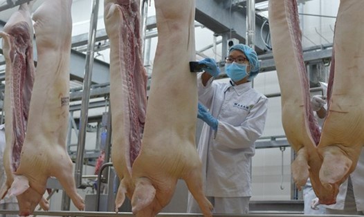 Giá thịt lợn trên thị trường tiếp tục tăng cao do nguồn cung không nhiều. Ảnh: Kh.L