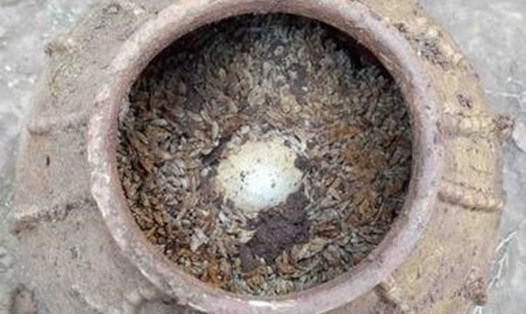 Những quả trứng được tìm thấy còn nguyên vẹn với niên đại 500 năm ở tỉnh Tứ Xuyên, Trung Quốc. Ảnh: Xinhua.