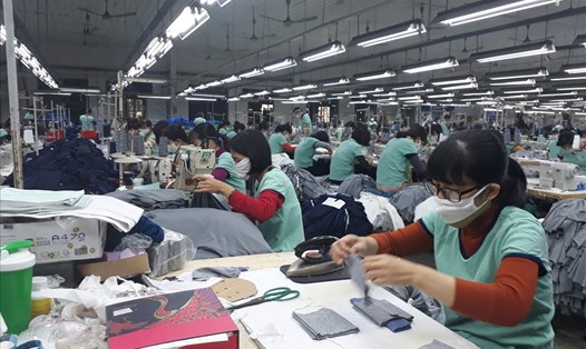 Công nhân Công ty may Đông Mỹ Hanosimex (huyện Thanh Trì, Hà Nội) trong giờ làm việc.