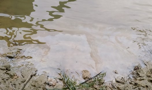 Vết dầu loang rộng, đậm đặc tại vị trí đầu nguồn cấp nước thô của Công ty TNHH 1 thành viên cấp nước Sông Lam. Ảnh: HV