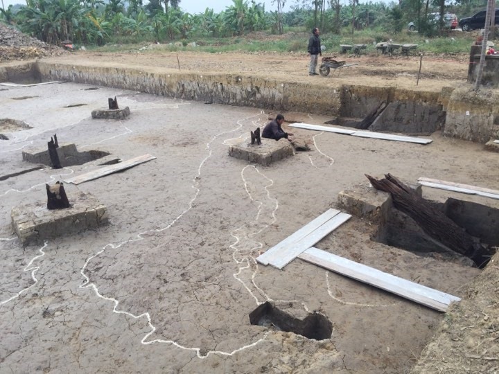 Có khả năng phải lấp đất bãi cọc vừa được khai quật tại Cánh đồng Cao Quỳ , Hải Phòng để bảo quản hiện vật - ảnh HH