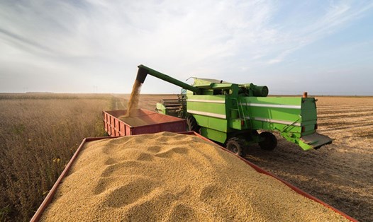 Trung Quốc đồng ý tăng nhập khẩu nông sản Mỹ trong 2 năm. Ảnh: Getty Images