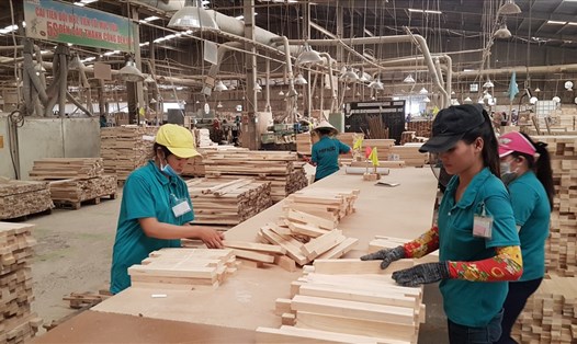 Ngành sản xuất gỗ của VN đang có bước phát triển mạnh trong năm 2019.