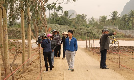 Người dân đổ về chiêm ngưỡng bãi cọc nghìn năm tuổi ở xã Liên Khê, huyện Thủy Nguyên. Ảnh Mai Dung