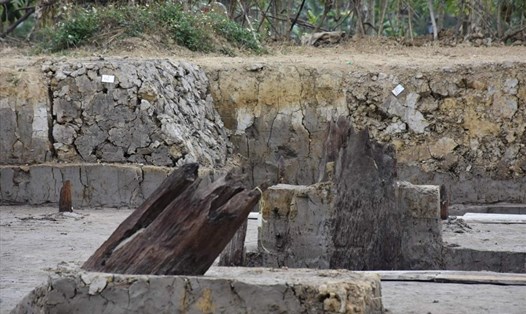 Tại bãi cọc Bạch Đằng mới được khai quật tại Hải Phòng, một số cọc được tìm thấy trong tình trạng cắm nghiêng. Ảnh Mai Dung