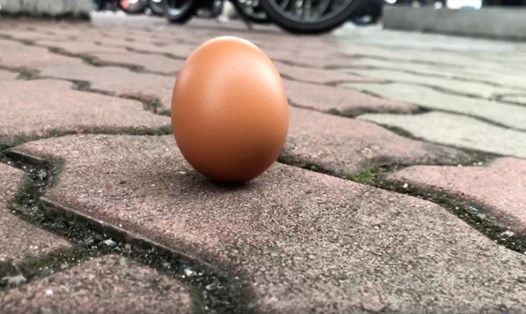 Người dân ở Malaysia và Indonesia dựng đứng quả trứng trên các bề mặt khác nhau trong ngày nhật thực hình khuyên xảy ra. Ảnh: Reuters