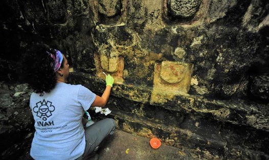 Giới khảo cổ phát hiện chứng tích về cung điện Maya ở Mexico. Ảnh: Reuters.