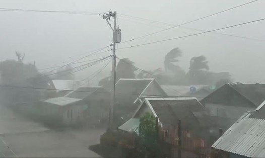 Cây cối nghiêng ngả khi bão Tisoy đổ bộ vào Gamay. Ảnh: Reuters.