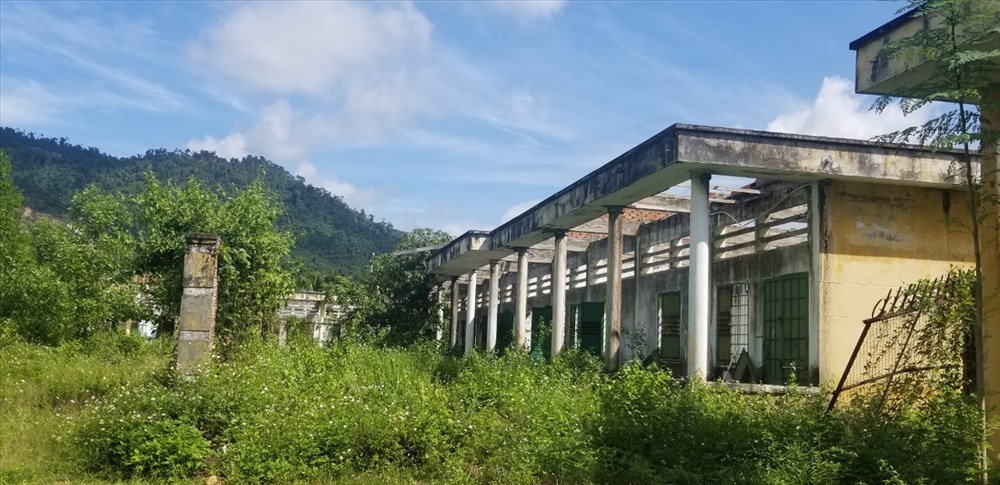 Khu C của cơ sở cai nghiện ma túy nội trú duy nhất tại Khánh Hòa không thể sử dụng, để cỏ mọc 2 năm nay. Ảnh: P.Linh