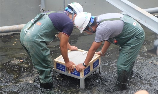 Công nhân môi trường đặt tấm vật liệu Bioreactor xuống khu vực bùn được quây lại. Ảnh: LĐ.