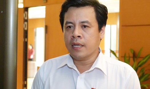 Đại biểu Quốc hội Trần Anh Tuấn, Phó Giám đốc Sở KH-ĐT TPHCM.