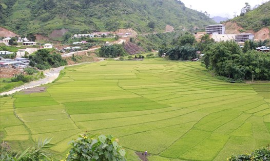 Giữa trung tâm huyện Tây Giang, ruộng bậc thang Chuôr được hiện ra với khung cảnh đẹp đến ngỡ ngàng. Ảnh: Đ.V