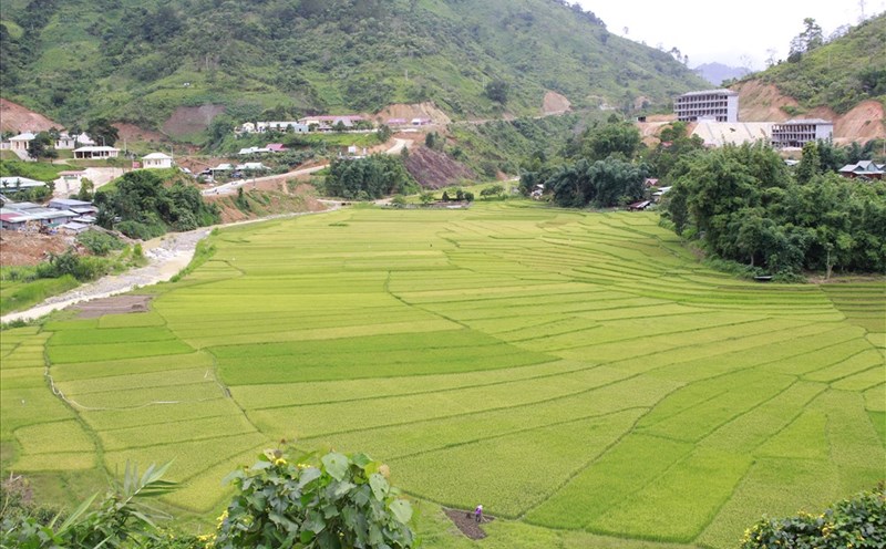 Giữa trung tâm huyện Tây Giang, ruộng bậc thang Chuôr được hiện ra với khung cảnh đẹp đến ngỡ ngàng. Ảnh: Đ.V