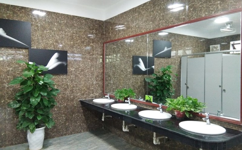 WC của Trung tâm du lịch Phong Nha – Kẽ Bàng với không gian đẹp như một bức tranh. Ảnh: HHL