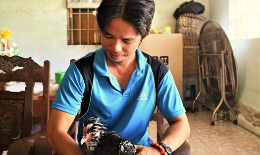 "Triệu phú" trẻ tuổi Nguyễn Bửu Thanh bên một con gà Quý Phi được chọn để gây giống. Ảnh: Bảo Trung