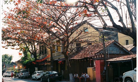 Những quán cà phê lặng lẽ bên con đường đầy lá rụng lả tả. Ảnh: L.V