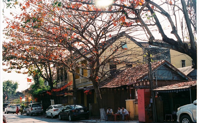 Những quán cà phê lặng lẽ bên con đường đầy lá rụng lả tả. Ảnh: L.V
