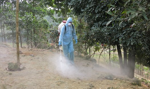 Ngành thú y Lào Cai phun khử trùng tiêu độc tại huyện Bảo Thắng. Ảnh: Thúy Phượng