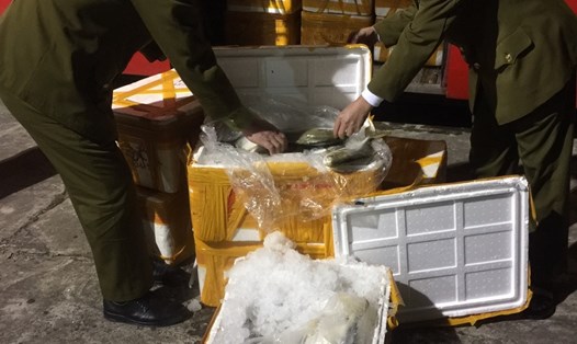 Gần 1 tấn cá chim trắng đông lạnh nhập lậu bị QLTT Quảng Ninh phát hiện và  xử lý đem tiêu hủy. Ảnh: T.N.D