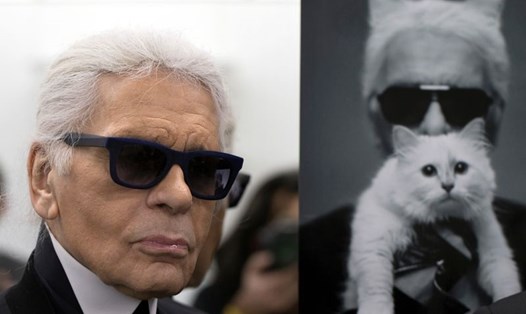 Nhà thiết kế thời trang Karl Lagerfeld và mèo Choupette. Ảnh: AFP. 