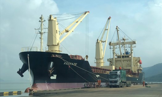 Các tàu đang đậu bên trong Cảng Quy Nhơn.