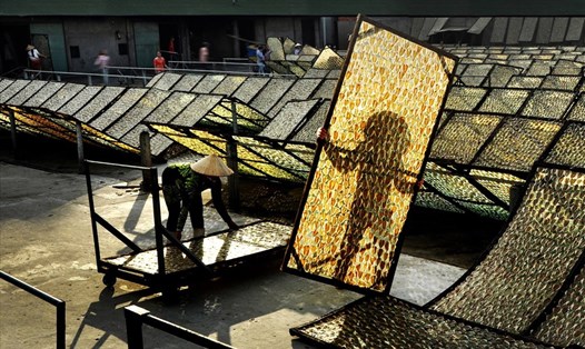 Khung cảnh nghề làm khô cá ngân chỉ tại TP. Rạch Giá, tỉnh Kiên Giang