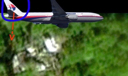 Daniel Boyer tin rằng MH 370 rơi xuống rừng Campuchia. Ảnh: Daniel Boyer