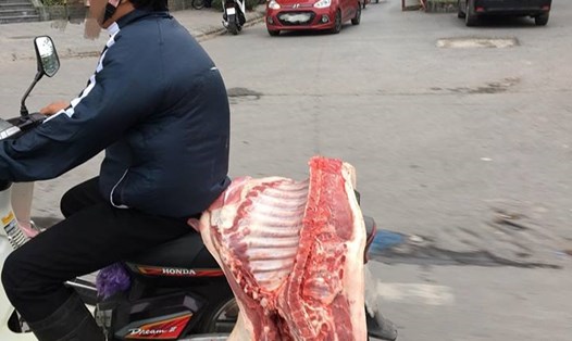 Tình trạng vận chuyển lợn và thịt lợn không đúng quy định sẽ khiến nguy cơ dịch tả lợn châu Phi lan rộng. (Ảnh minh họa)