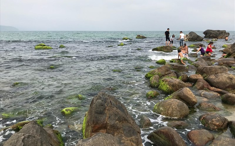 Mỗi ngày ước tính có hàng trăm lượt khách đến với ghềnh đá Nam Ô. Ảnh: H.V.M