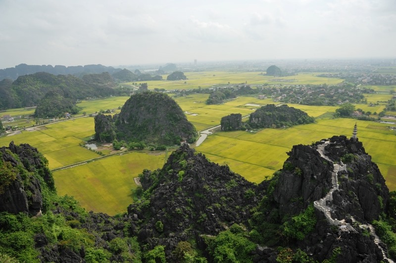 Hang Múa được đông đảo giới trẻ lựa chọn làm điểm tham quan, trải nghiệm khi tới Ninh Bình. Ảnh: NT