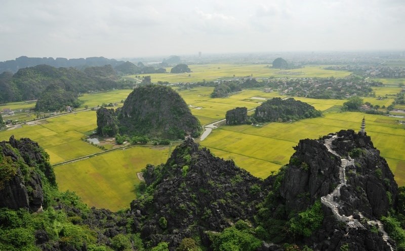 Hang Múa được đông đảo giới trẻ lựa chọn làm điểm tham quan, trải nghiệm khi tới Ninh Bình. Ảnh: NT