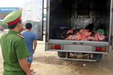 Bắt quả tang một vụ vận chuyển thịt lợn không rõ nguồn gốc qua địa bàn tỉnh Bình Phước. Ảnh: H.H