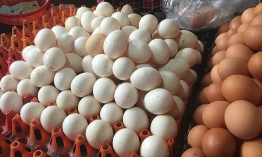Người chăn nuôi đang thua lỗ nặng do giá trứng gia cầm giảm mạnh 