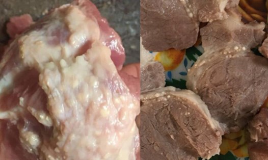 Thịt lợn nổi nhiều hạch trắng được sử dụng để chế biến thức ăn cho trẻ ở Trường Mầm non Thanh Khương (Bắc Ninh). Ảnh: PHCC