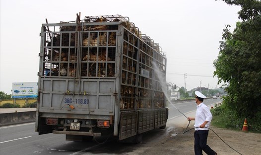 Phun tiêu độc khử trùng tại chốt kiểm dịch trên QL1A đoạn qua địa phận thị xã Hồng Lĩnh