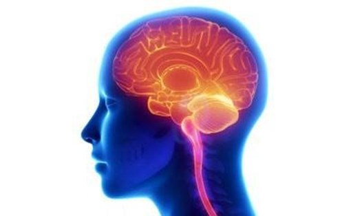Các nhà nghiên cứu đang tìm hiểu xem sự khác biệt tuổi não bộ ở nam và nữ sẽ mang lại điều gì. Ảnh: VMC