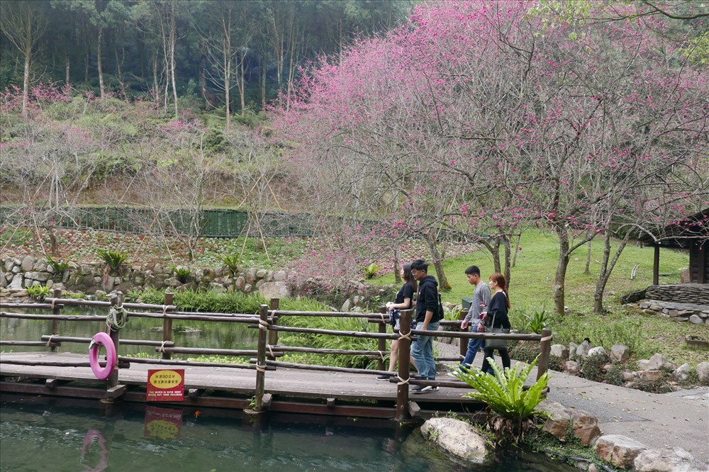 Làng Cửu tộc ở Nam Đầu, đảo Đài Loan, nằm trên diện tích 62 ha, được thành lập vào năm 1986. 