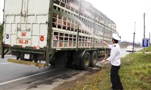 Kiểm tra và phun hóa chất tiêu độc khử trùng phương tiện chở lợn trên Quốc lộ 1A tại Quảng Trị. Ảnh: MD