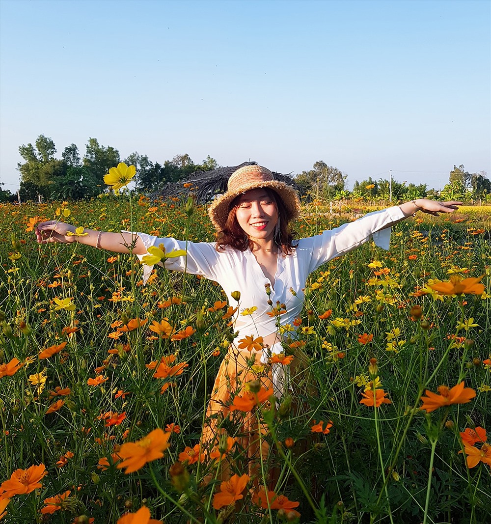 Du khách thích thú trải nghiệm tại cánh đồng hoa Vĩnh Hiệp