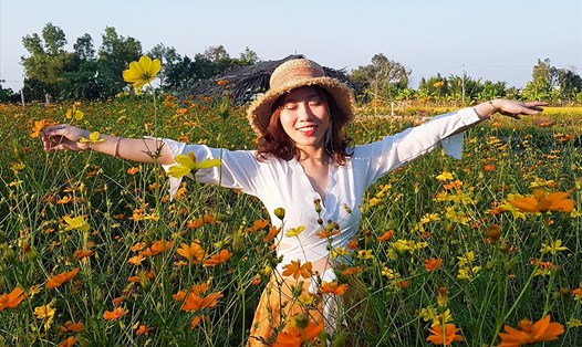 Du khách thích thú trải nghiệm tại cánh đồng hoa Vĩnh Hiệp