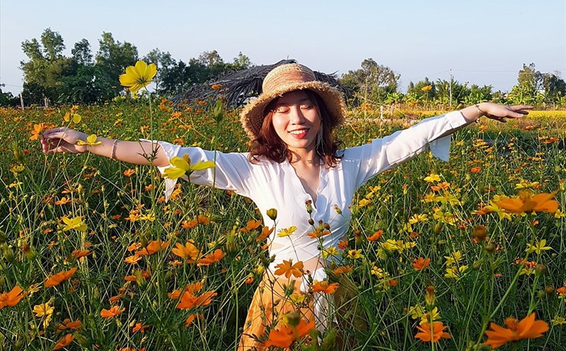 Du khách thích thú trải nghiệm tại cánh đồng hoa Vĩnh Hiệp