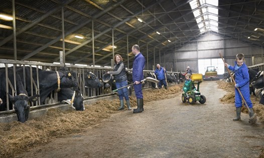Quy trình sản xuất của Cô Gái Hà Lan trên toàn cầu luôn tuân thủ tiêu chuẩn kỹ thuật của Hội đồng châu Âu, đảm bảo chất lượng sữa đồng nhất trên toàn cầu.