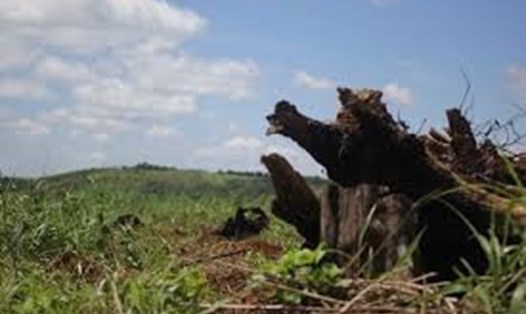 Ban Cán sự Đảng UBND tỉnh Đắk Nông nhiệm kỳ 2016-2021  buông lỏng lãnh đạo, chỉ đạo, để UBND tỉnh có nhiều khuyết điểm, vi phạm trong công tác giao đất, giao rừng...