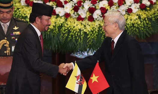 Việt Nam - Brunei nâng cấp quan hệ lên Đối tác toàn diện. Ảnh: Sơn Tùng. 