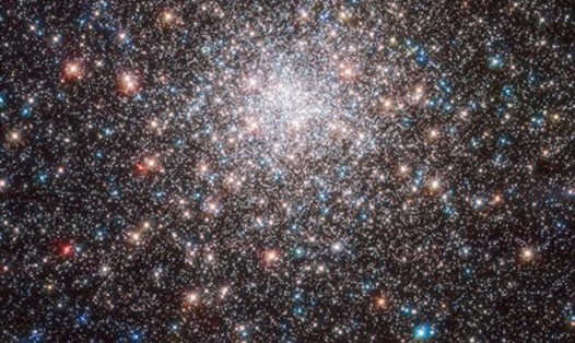 Ảnh chụp những ngôi sao sáng rực trong thiên hà Messier 28. Ảnh: ESA